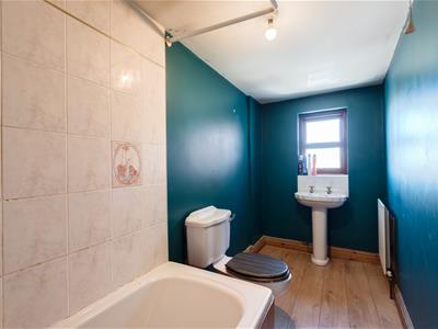 Picture 14